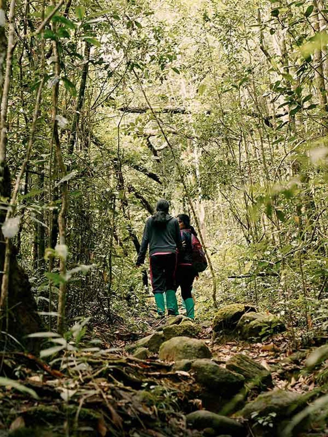 ホテル Serene Sinharaja デニヤヤ エクステリア 写真